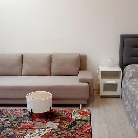 Piata Muzeului 1 Apartment Cluj Napoca Bagian luar foto