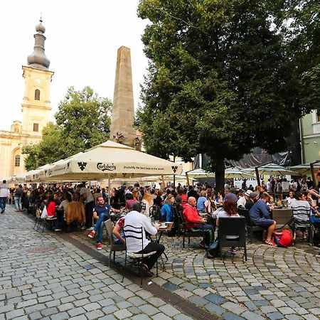 Piata Muzeului 1 Apartment Cluj Napoca Bagian luar foto