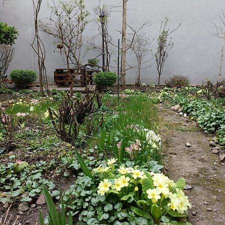 Piata Muzeului 1 Apartment Cluj Napoca Bagian luar foto