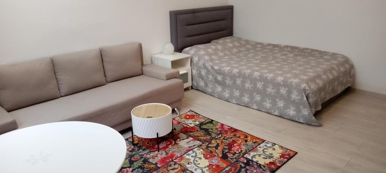 Piata Muzeului 1 Apartment Cluj Napoca Bagian luar foto
