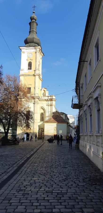 Piata Muzeului 1 Apartment Cluj Napoca Bagian luar foto