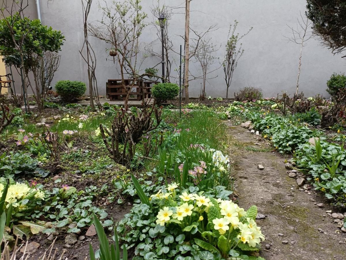 Piata Muzeului 1 Apartment Cluj Napoca Bagian luar foto